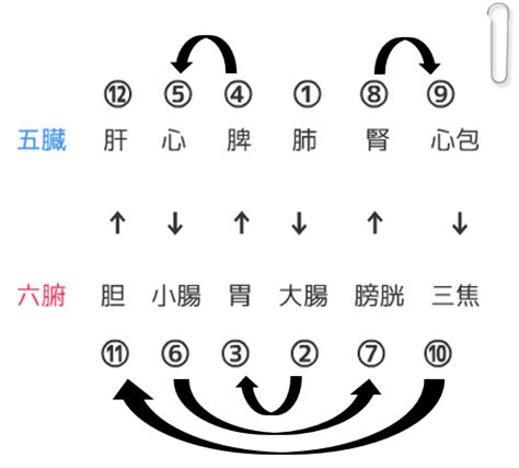 三陰三陽 日本|陰一陽と三陰三陽